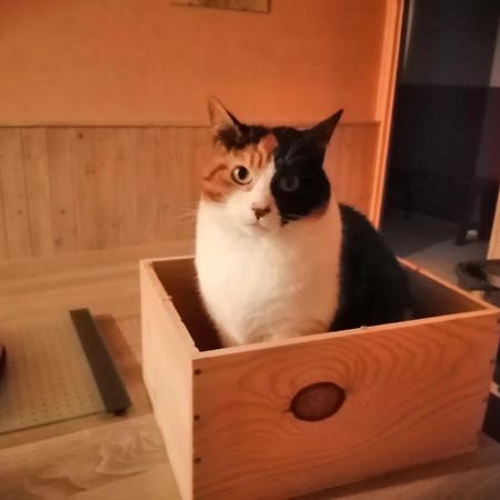 Grande Chambre D'Hote Proche Disneyland Et Parc Des Felins Guerard Екстер'єр фото
